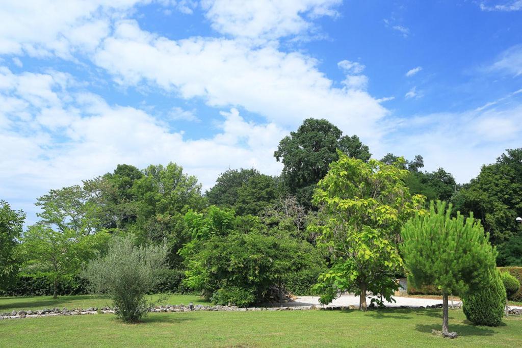Gite Et Studios Les Barongeres Farges-les-Chalon Ngoại thất bức ảnh